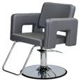 Takara Belmont Nikko 850 Styling Chair