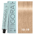 Igora Royal Highlifts 10-19 Ultra Blonde Cendre Violet 2oz