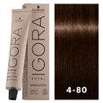 Igora Royal Absolutes 4-60 Dark Brown Choco Natural 2oz