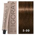 Igora Royal Absolutes 5-50 Medium Brown Gold Natural 2oz