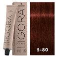 Igora Royal Absolutes 5-80 Medium Brown Red/Violet Natural 2oz