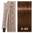 Igora Royal Absolutes 6-60 Light Brown Choco Natural 2oz