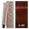 Igora Royal Absolutes 6-80 Light Brown Red/Violet Natural 2oz