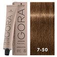 Igora Royal Absolutes 7-50 Dark Blonde Gold Natural 2oz