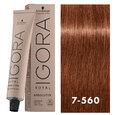 Igora Royal Absolutes 7-560 Age Blend Dark Blonde 2oz