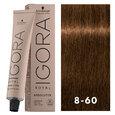 Igora Royal Absolutes 8-60 Blonde Chocolate Natural 2oz