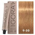 Igora Royal Absolutes 9-50 Extra Light Blonde Gold Natural 2oz