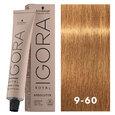 Igora Royal Absolutes 9-60 Extra Light Blonde Chocolate Natural 2oz