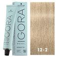 Igora Royal Highlifts 12-2 Special Blonde Ash 2oz