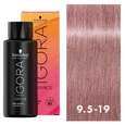 Igora Vibrance Toner 9.5-19 Cendre Violet 2oz