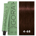 Igora Zero AMM 4-68 Medium Brown Chocolate Red 2oz