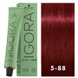 Igora Zero AMM 5-88 Light Brown Red Extra 2oz
