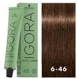 Igora Zero AMM 6-46 Dark Blonde Beige Chocolate 2oz