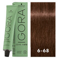 Igora Zero AMM 6-68 Dark Blonde Chocolate Red 2oz