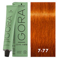 Igora Zero AMM 7-77 Med Blonde Copper Extra 2oz