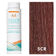 Moroccanoil Color Calypso 5CR/5.46 Light Copper Red Blonde 2oz