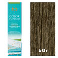 Moroccanoil Color Rhapsody 6Gr./6.7 Dark Matte Blonde 2oz