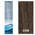 Moroccanoil Color Rhapsody Ultimate 6NB/6.01 Dark Natural Ash Blonde 2oz