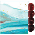 Moroccanoil Hair Color Swatch Book