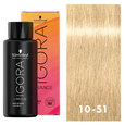 IGORA Vibrance 10-51 Gold Cendre Soft Toner 2oz