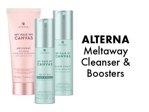 Alterna Meltaway Cleanser & Boosters